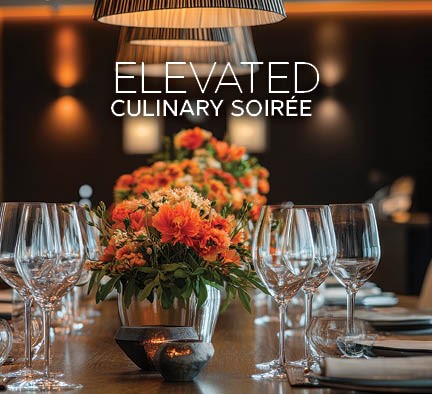 gala auction lots14 (1)