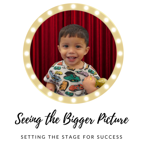 seeing the bigger picture logo final (5)